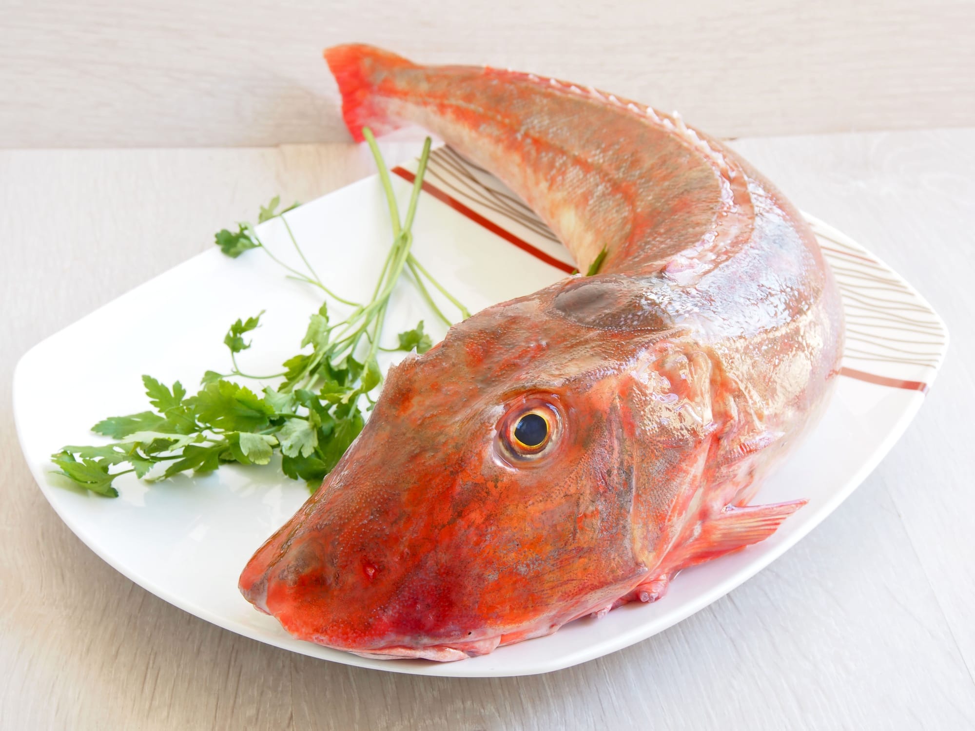 Panzanella Ensaladas El Cocinero Casero Panzanella Ensaladas El Cocinero Casero